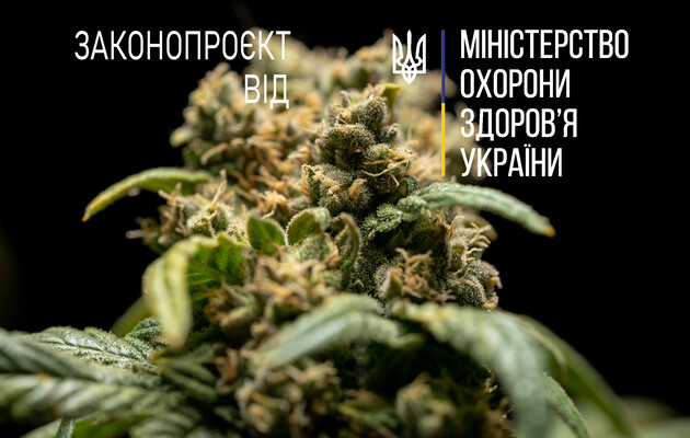 Куди рухаються законодавчі ініціативи щодо медичного канабісу