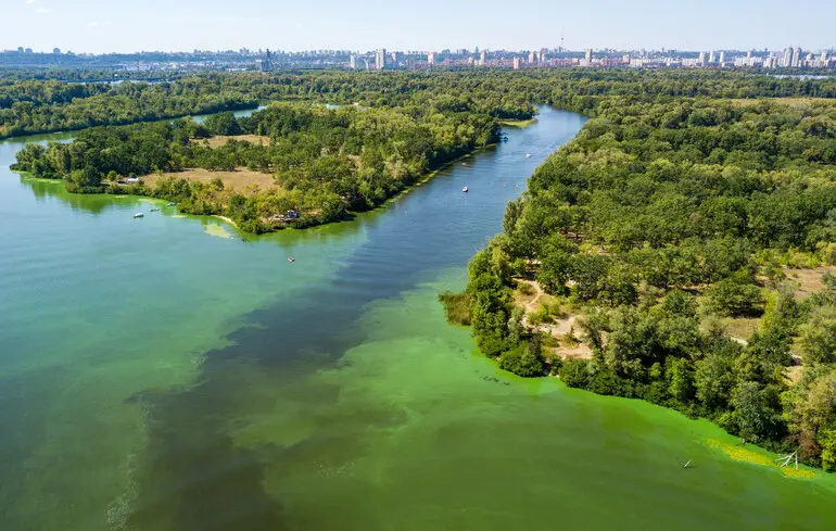 Хто забруднює річку Дніпро в Києві — і як зупинити екологічну катастрофу